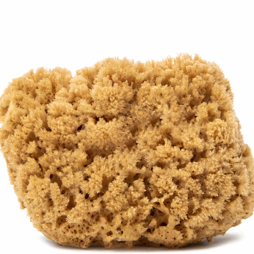 Ease On Natural Sea Sponge 